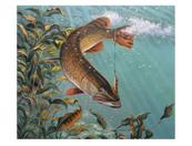fish painting from photo VI