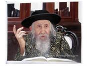 rabbi portrait painting a